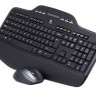 Keyboard and Mouse Logitech MK710 Wireless USB EN/RU [920-002434] black