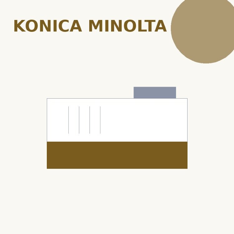 Девелопер для Konica-Minolta bizhub 200/222/250/282/350/362 (DV-310, 8938-451) 300 гр