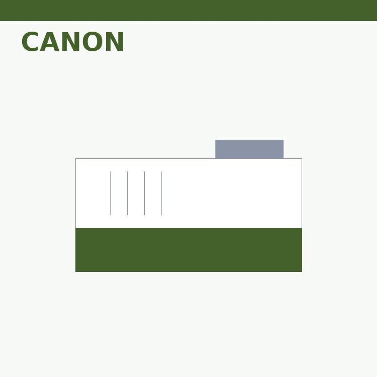 Форматтер Canon LBP-3010 (FM3-5737)