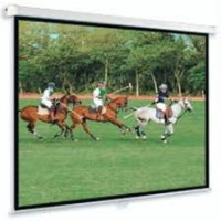 Экран настенный Memory Specialist  4:3 MSPSBC120 (2,4х1,8 w)