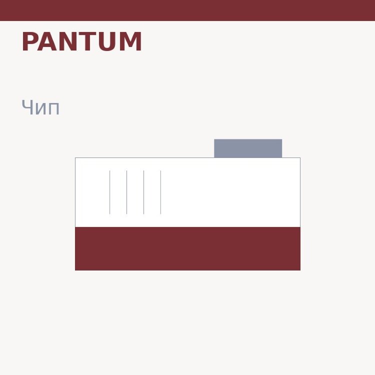 Чип Pantum